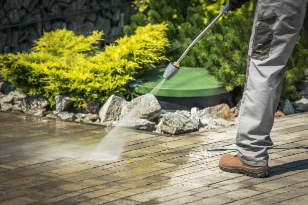 Best Fence Cleaning  in Norris, TN